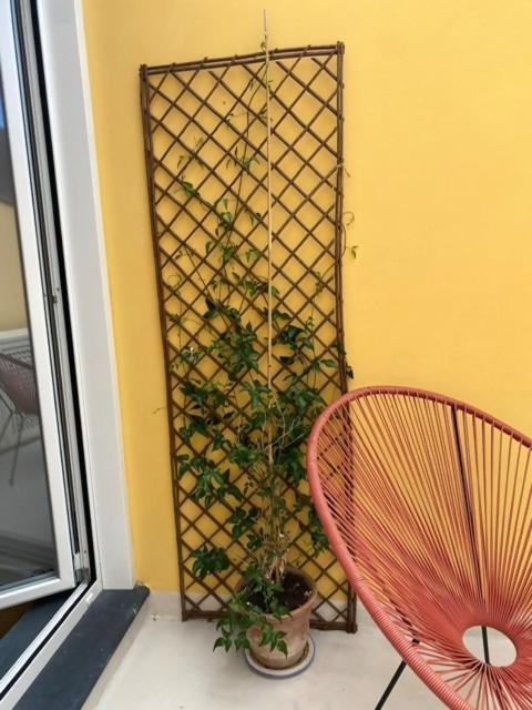 Waterfront Balcony I Grani 5 Resort Grand Suite Livorno Ngoại thất bức ảnh